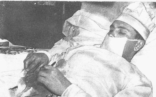 doctor de los huevos de oro