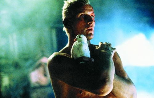 Escena blade runner he visto cosas que no creeriais como lagrimas en la lluvia es hora de morir